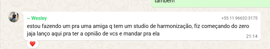 Aluno criando site do zero para studio de harmonização